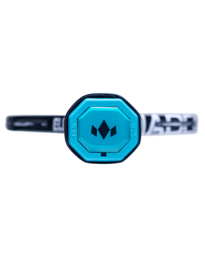 Diadem Elevate 98 Tour V4