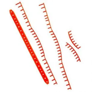 Head Grommet Set - Ösenband - Bumperguard - alle Modelle von ca. 2008 bis heute - Bespannservice.de - Frank Gayer