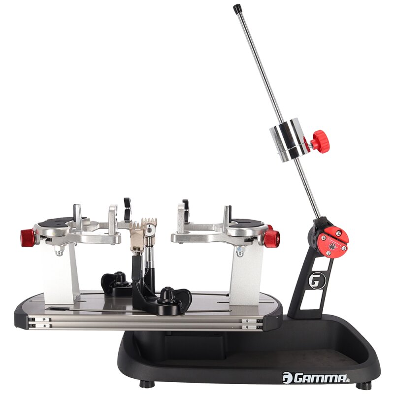 Gamma Momentum 6 Plus