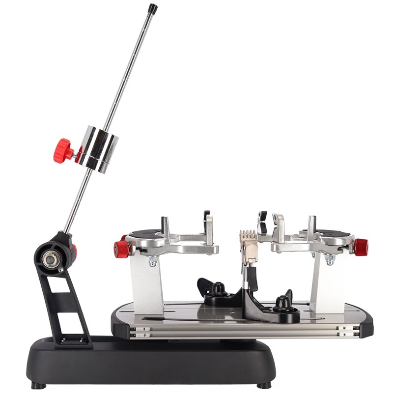 Gamma Momentum 6 Plus